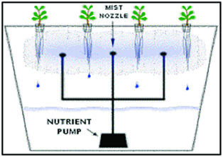 aeroponics system