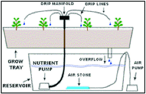 drip system